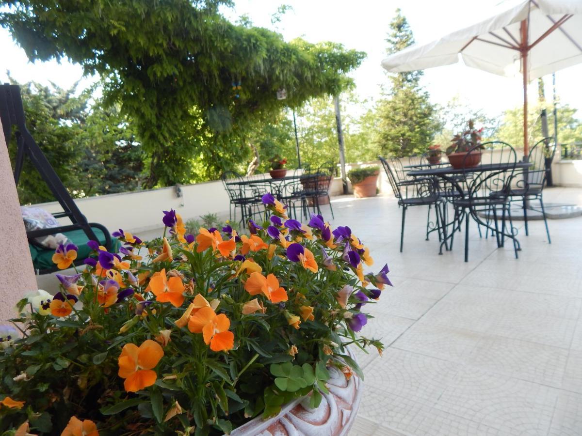 B&B La Meta Settefrati Ngoại thất bức ảnh